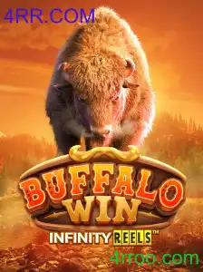 BuffaloWin: A Nova Sensação do 4RR.COM